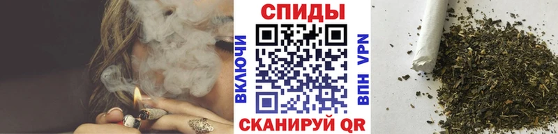 Купить где Губкин БУТИРАТ бутандиол