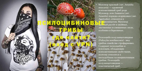 эйфоретик Заводоуковск