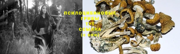 эйфоретик Заводоуковск
